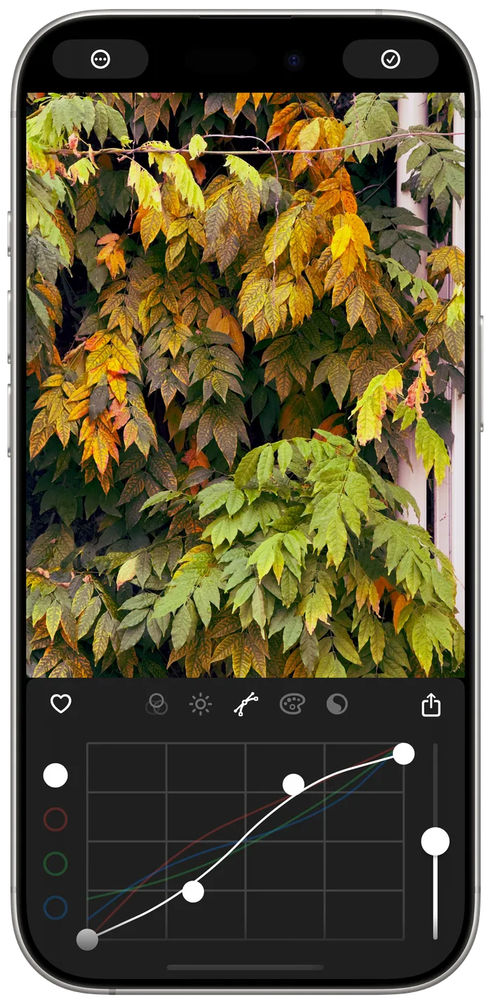 Obscura Studio editing a photo of autumn leaves, with an RGB curves tool open below it